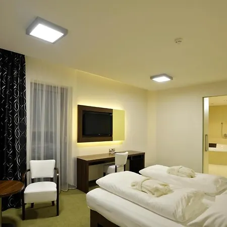 Hotel Lesni 4*