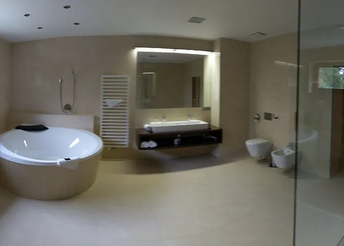 Hotel Lesni 4*
