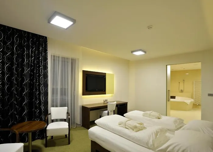 Hotel Lesni 4*